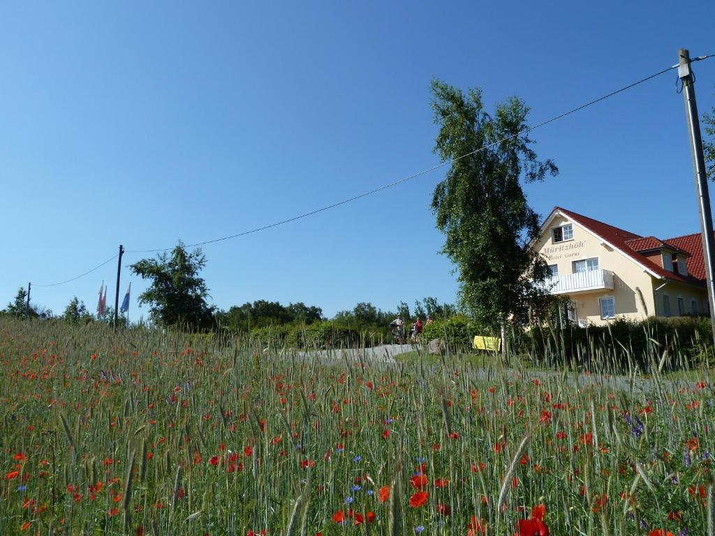 Mueritzhoeh Rechlin Kültér fotó